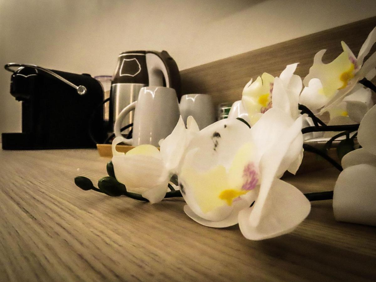My Maison 70 Guest House Rzym Zewnętrze zdjęcie